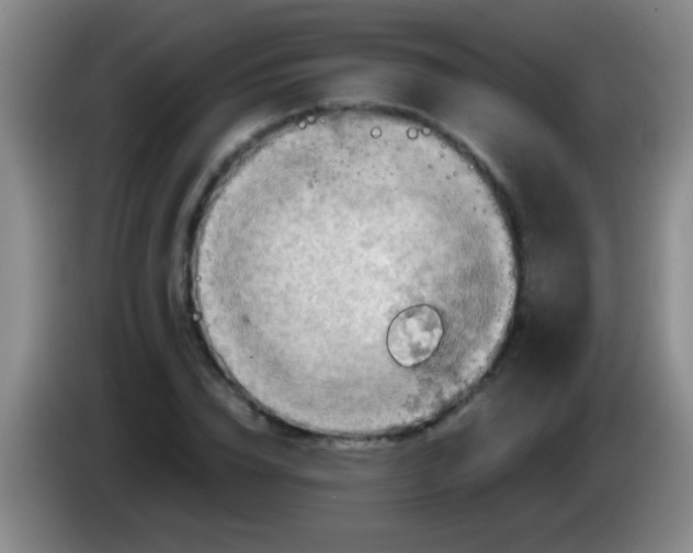 X0000084010832200703091925