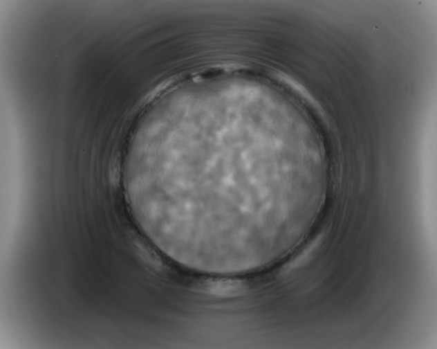 X0000084010833200703091925