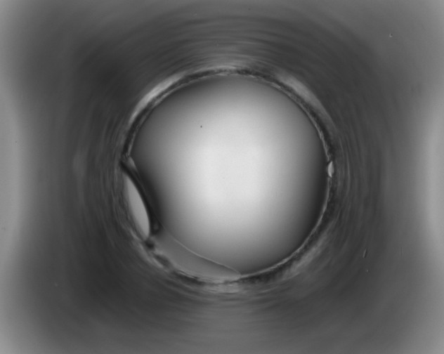 X0000084010834200703091925