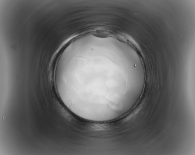 X0000084010835200703091925