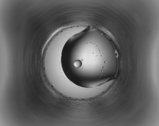 X0000084010836200703091925