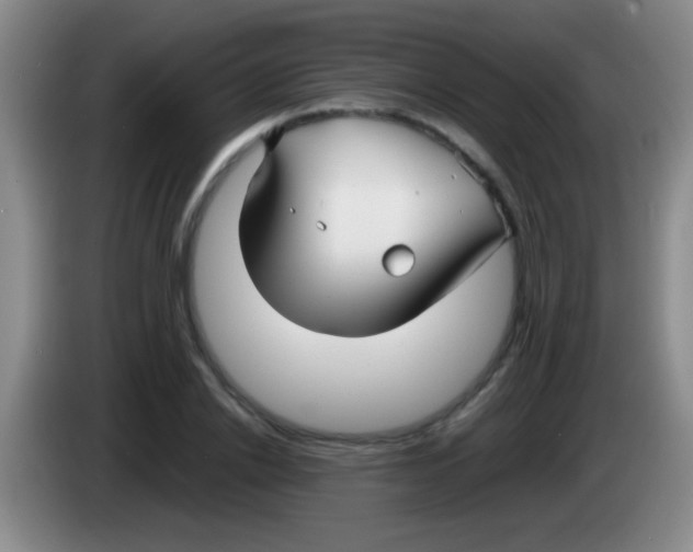 X0000084010838200703091925