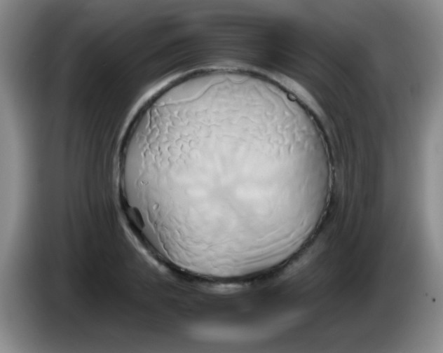 X0000084010839200703091925