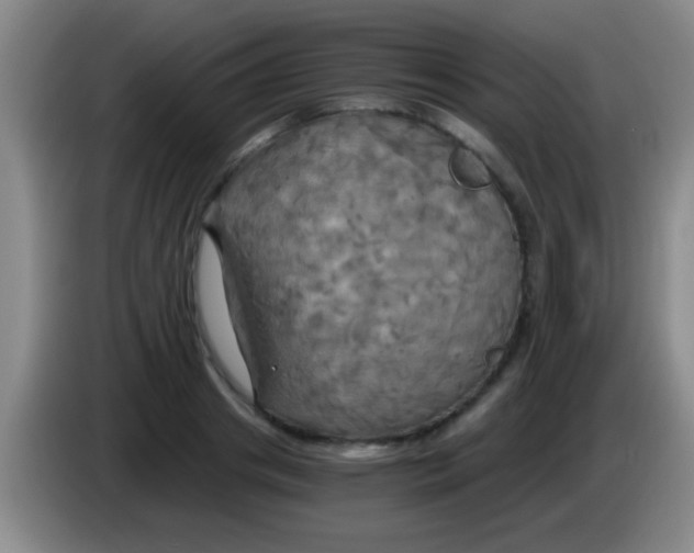 X0000084010841200703091925