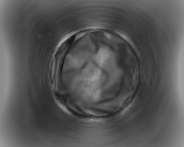 X0000084010842200703091925