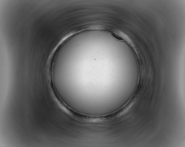 X0000084010843200703091925