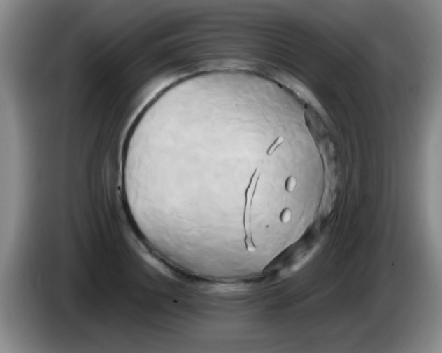 X0000084010844200703091925