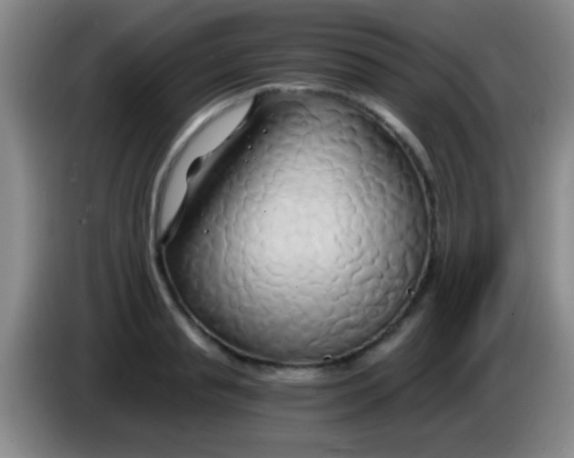 X0000084010845200703091925