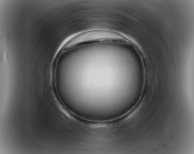 X0000084010846200703091925