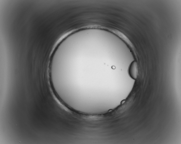 X0000084010847200703091925