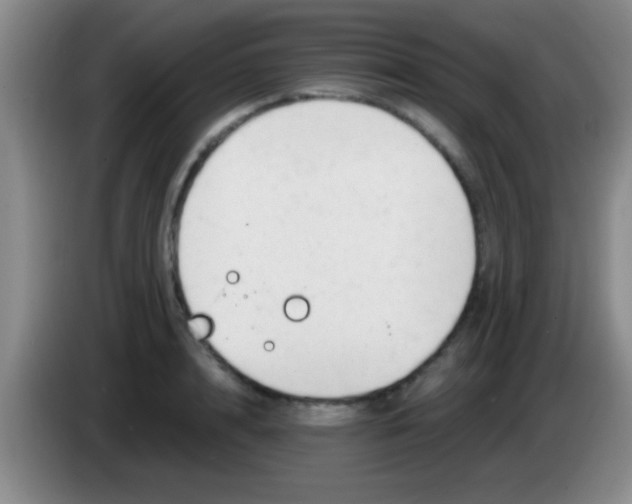 X0000084010848200703091925