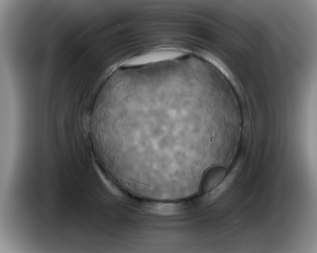 X0000084010849200703091925