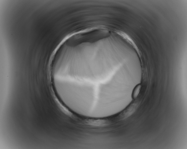 X0000084010851200703091925