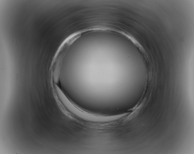 X0000084010854200703091925