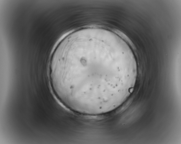 X0000084010855200703091925