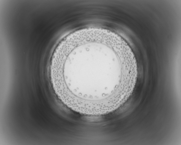 X0000084010856200703091925