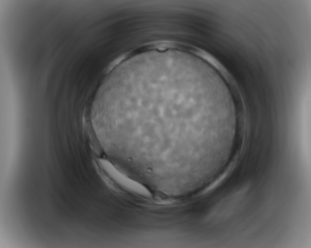 X0000084010857200703091925