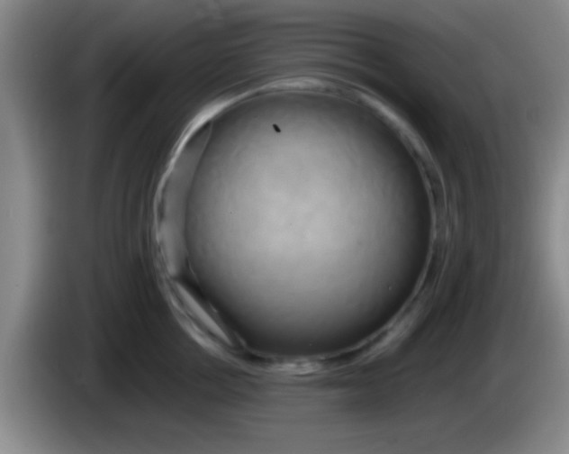 X0000084010858200703091925