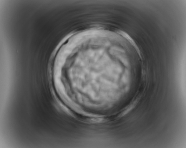 X0000084010859200703091925