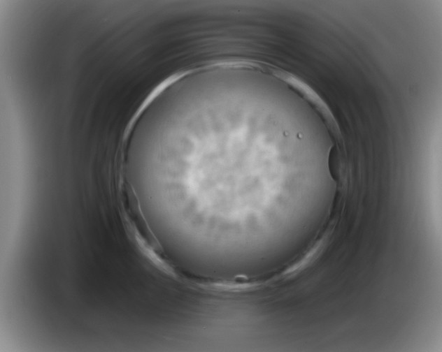 X0000084010860200703091925