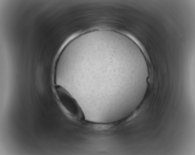 X0000084010861200703091925