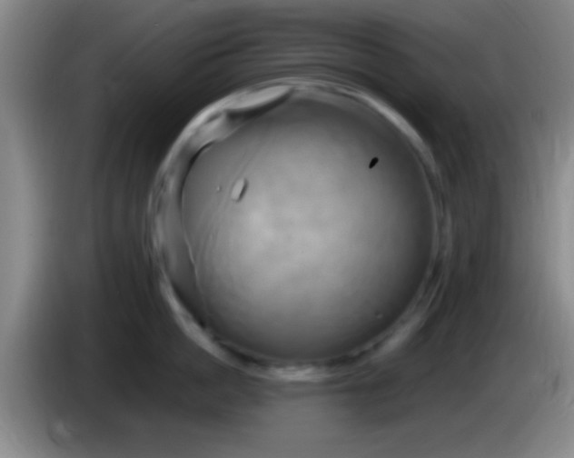 X0000084010862200703091926