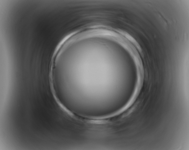 X0000084010863200703091926