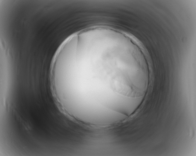 X0000084010864200703091926