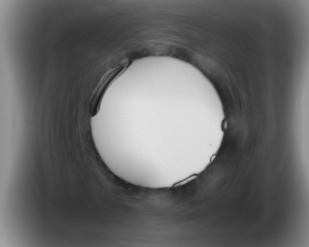 X0000084010865200703091925