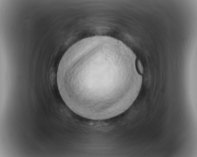 X0000084010866200703091925