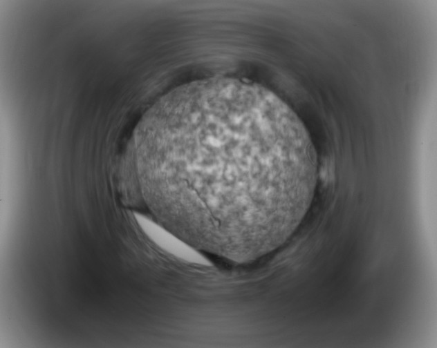 X0000084010867200703091925