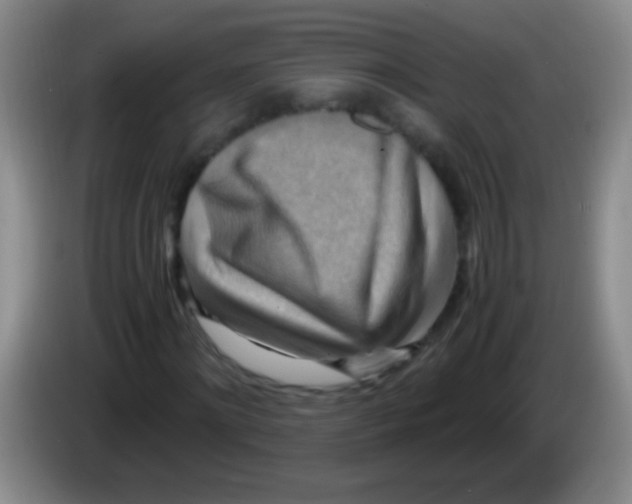 X0000084010868200703091925