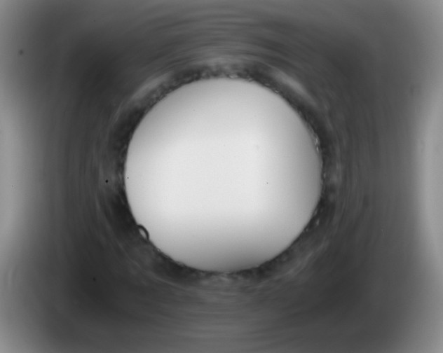 X0000084010869200703091925