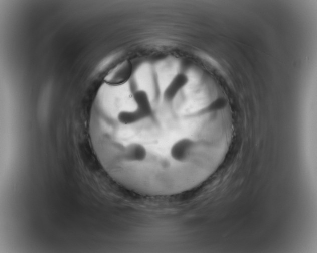 X0000084010871200703091925