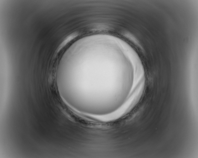 X0000084010874200703091925