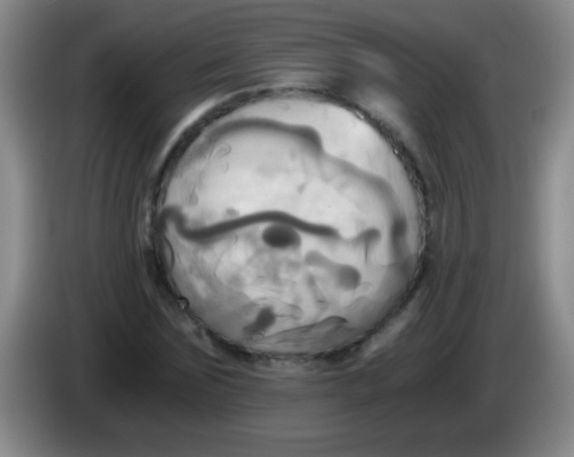 X0000084010875200703091925