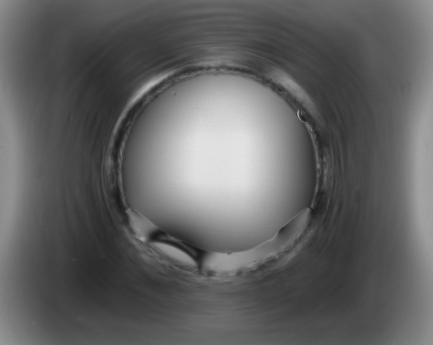 X0000084010876200703091925