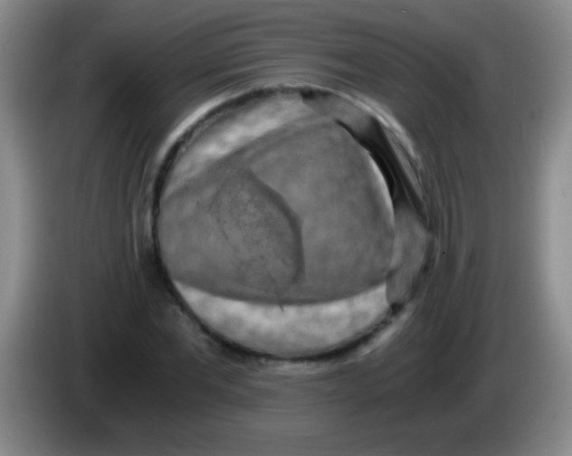 X0000084010877200703091925