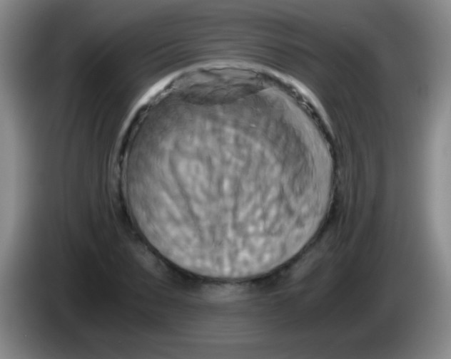 X0000084010879200703091925