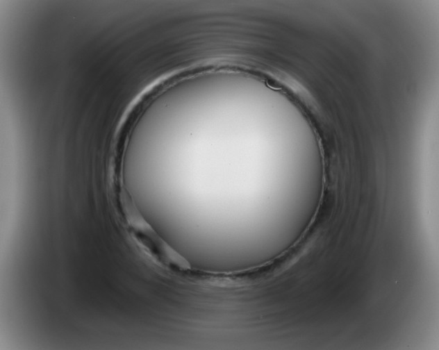 X0000084010880200703091925