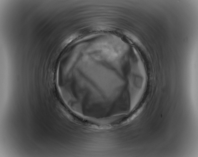 X0000084010881200703091925