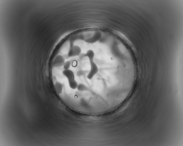 X0000084010883200703091925