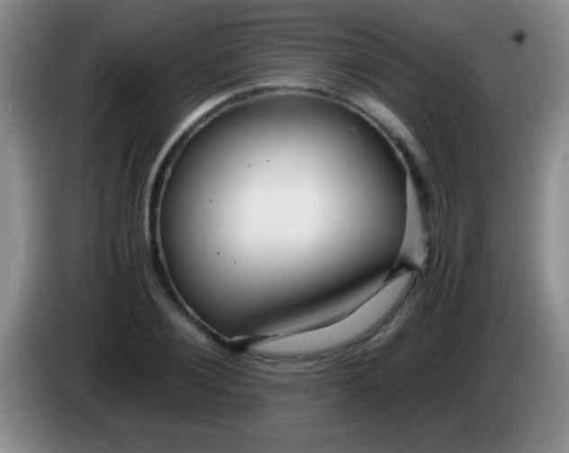 X0000084010884200703091925