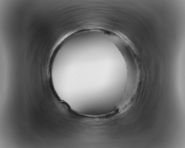 X0000084010885200703091925