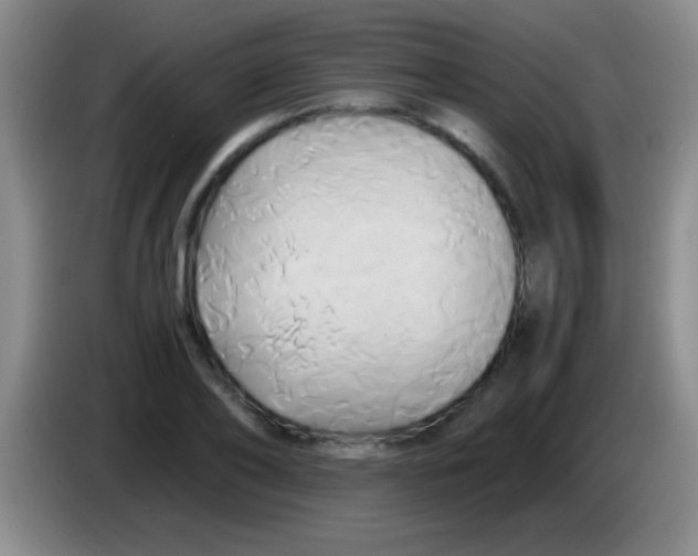 X0000084010886200703091925