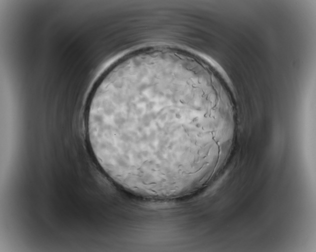 X0000084010887200703091925