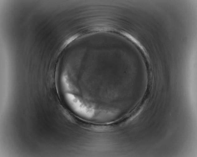 X0000084010889200703091925