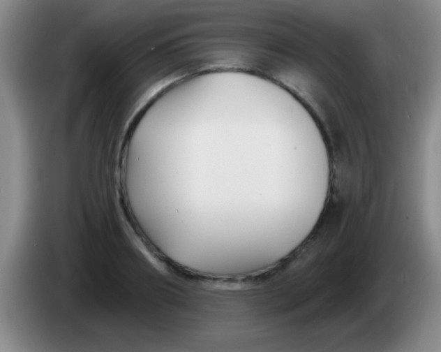 X0000084010890200703091925