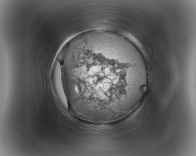 X0000084010891200703091925