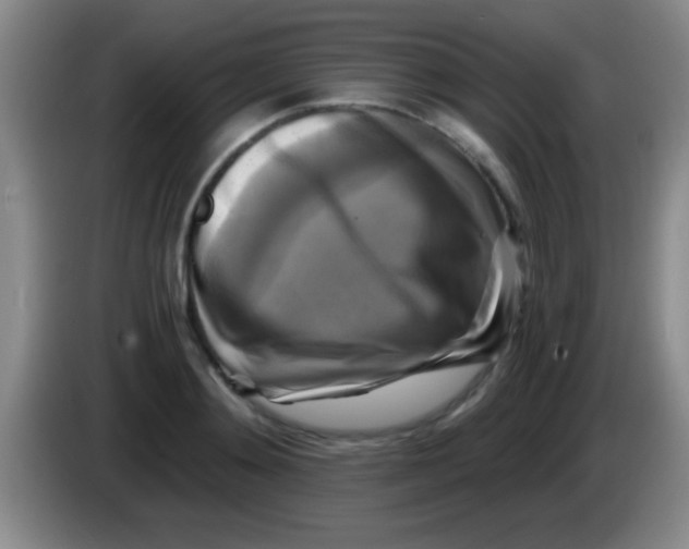 X0000084010892200703091925